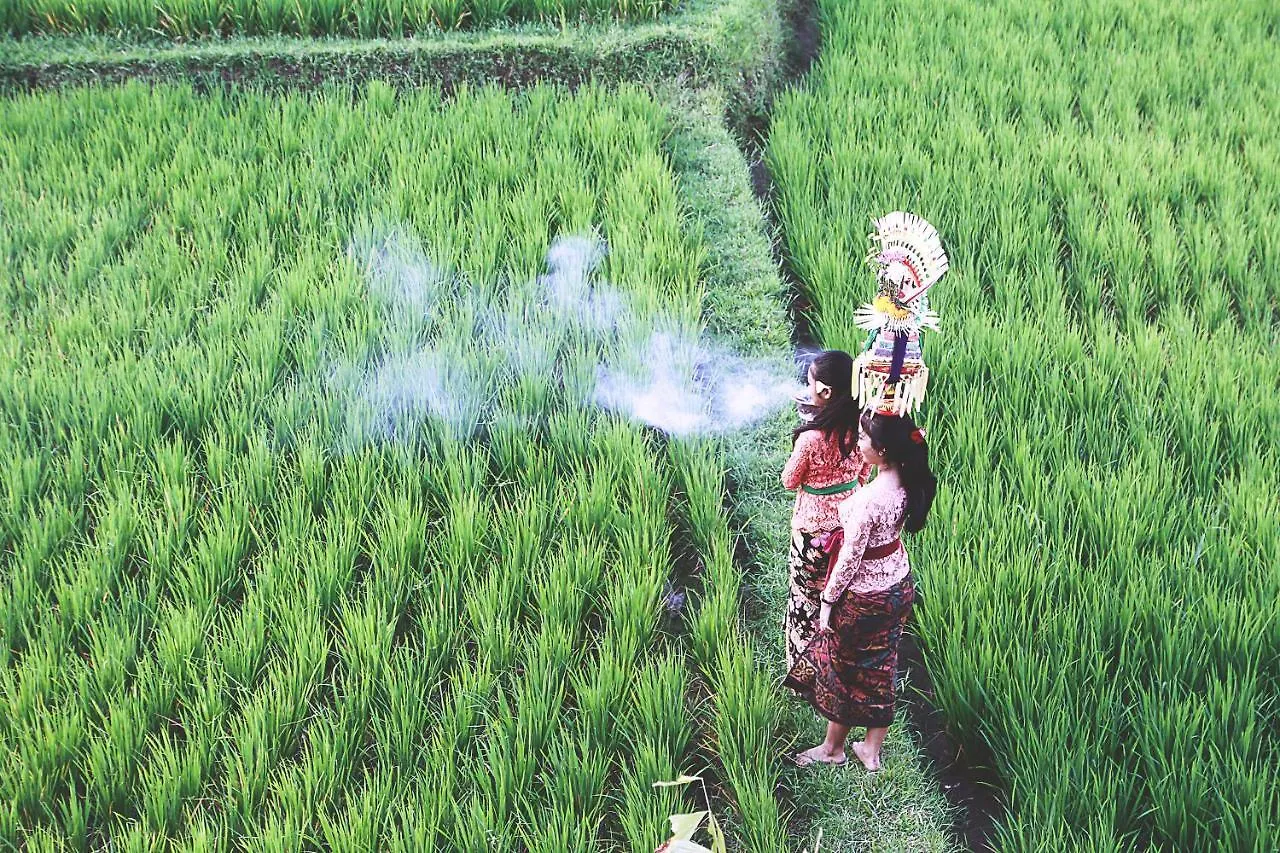 D'Legon Villas Ubud